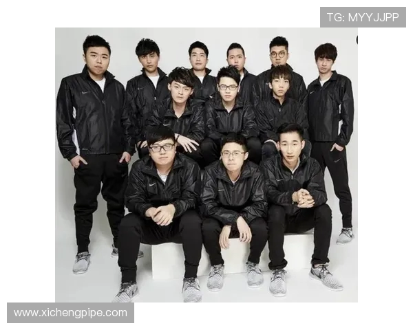 南京枫帆战队奋勇争先展现青春力量谱写电竞荣耀新篇章 南京枫帆战队奋勇争先展现青春力量谱写电竞荣耀新篇章