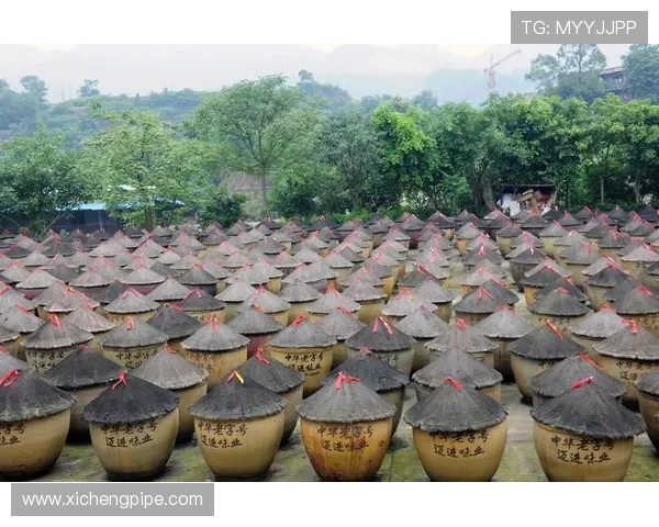 南京头排苏酒：传承百年匠心，品味经典，酿造文化的独特魅力