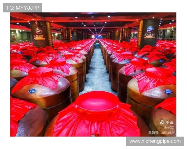 南京头排苏酒巅峰对阵引爆江南酒坛风云再起争锋荣耀时刻 南京头排苏酒巅峰对阵引爆江南酒坛风云再起争锋荣耀时刻