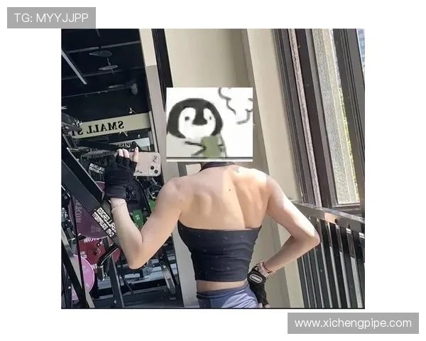 打造完美身形从健身开始全方位提升力量耐力和体态的科学方法 打造完美身形从健身开始全方位提升力量耐力和体态的科学方法