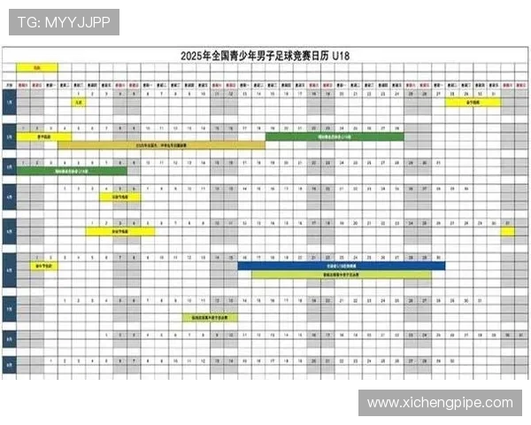 足球新纪元:技术革新与战术演变下的全球赛场变革与未来趋势 足球新纪元:技术革新与战术演变下的全球赛场变革与未来趋势