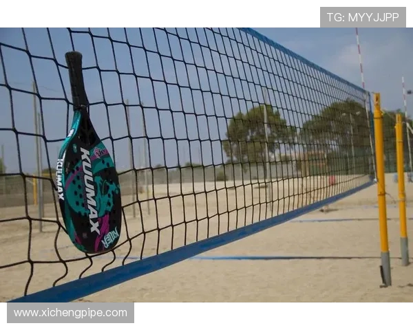 网球运动的发展历程与未来趋势探析:从传统到现代的变革与创新