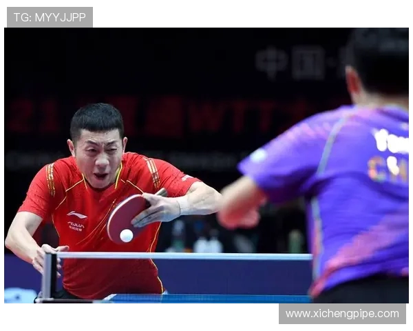 乒乓球运动的魅力与技巧探析：从基础技术到竞技战略的全面解析