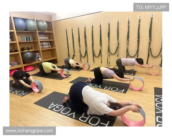 坚持力量与健康并重打造全方位身心平衡的科学健身新理念