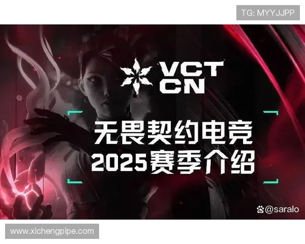 《电竞崛起：从休闲娱乐到全球竞技舞台的蜕变与挑战》