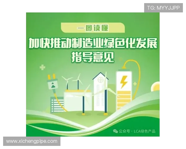 《全方位解析当代体育赛事对全球文化交流与社会发展的深远影响》
