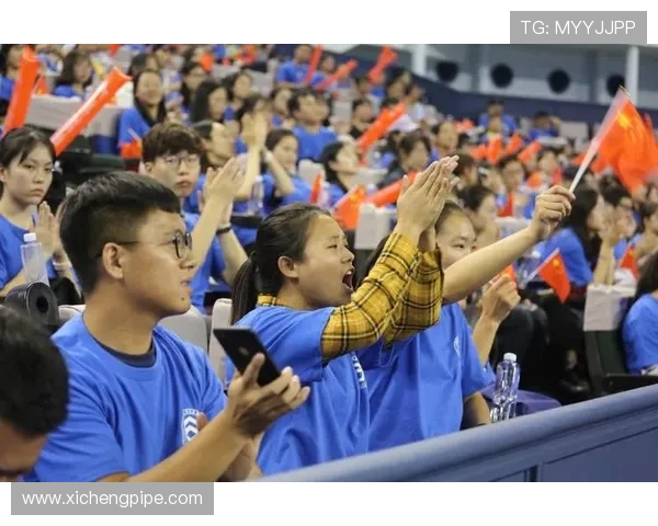 以网球为纽带探索竞技精神与青春奋斗交织的人生旅程