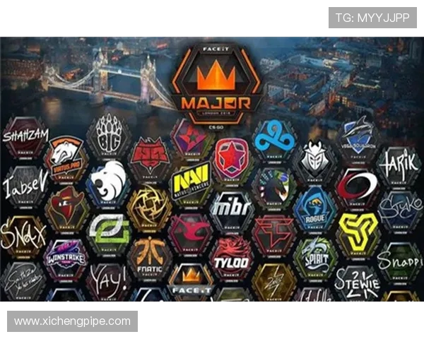 CSGO深度解析：探讨FPX战队在战术上的灵活应变能力与表现