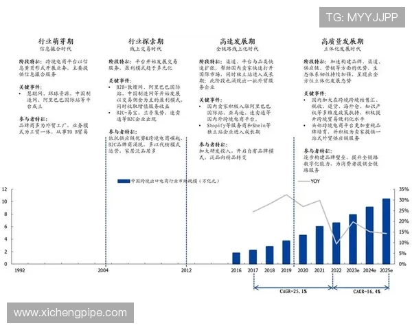 专访杨丽：深入探讨CSGO成功背后的关键因素与发展历程