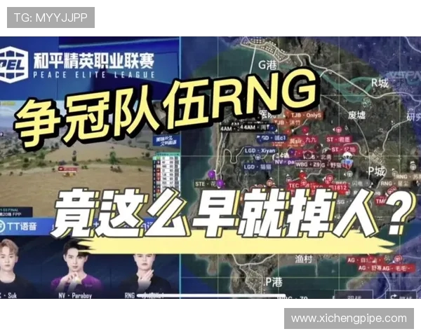 和平精英盛宴揭秘RNG战队实力与战术背后的故事与荣耀
