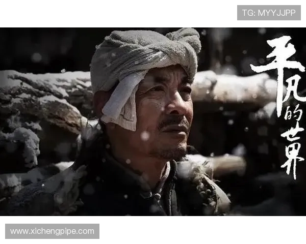 李强谈极限运动的挑战与成长：一段不平凡的旅程回顾