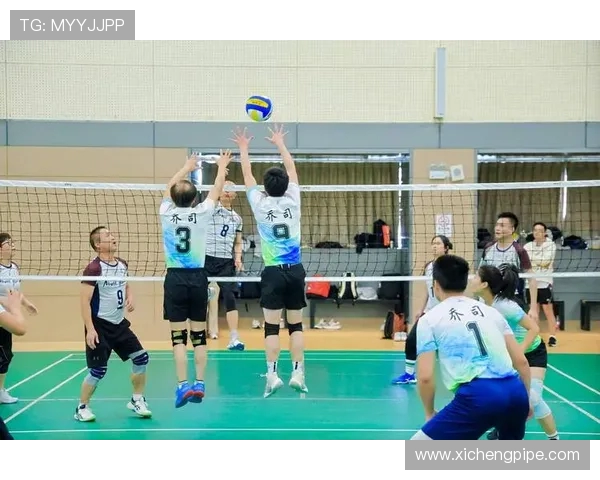 杭州排球队转型之路揭秘精英赛背后的奋斗与蜕变