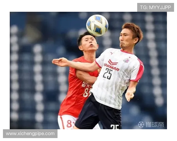 武汉攀岩队意识排名创新高展现团队精神与竞技实力