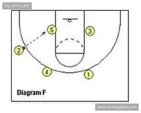 深圳羽毛球队快攻战术解析与发展趋势探讨