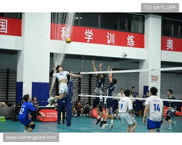 重庆排球队的耐力训练与比赛表现分析探索排球运动的魅力与挑战