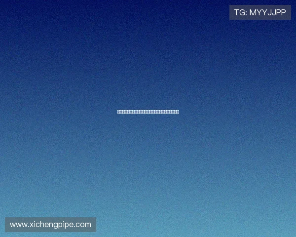 全球体坛焦点赛事最新比分动态全面解析与深度数据追踪