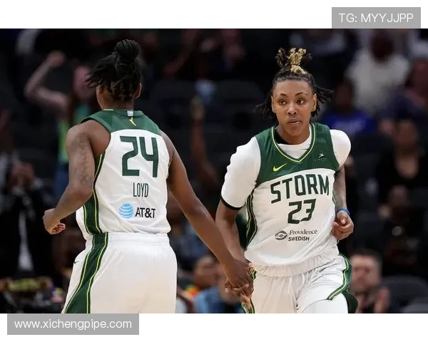 2017年WNBA东部与西部球队对决精彩回顾与分析